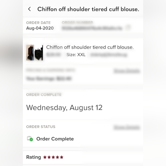 Chiffon Off-Shoulder Blouse for Women – Tiered Cuff Long Sleeves - Picture 5 of 5